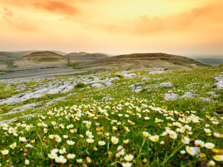Natuurfoto The Burren West Ierland